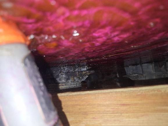 Mise en eau colorée fuchsia de la terrasse sur Nice